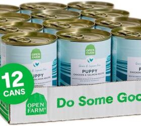 guide to puppy food nourishing your pup for growth