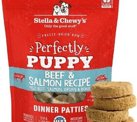 guide to puppy food nourishing your pup for growth