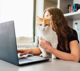 Minnesota Gets Its First Pet-Friendly College Campus