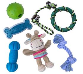 heres why your dog has a favorite toy, rocket rex Dog Chew Toy Set image via Amazon