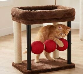 3 tips to keep kittens away from your curtains, Veehoo Small Cat Tree image via Amazon