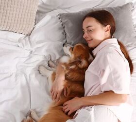 Should You Let Your Dog Sleep in Your Bed?