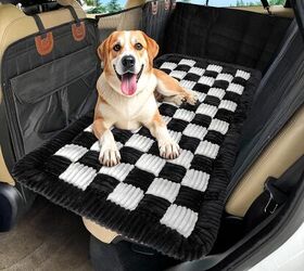 it s winter let s keep your backseat companion safe and warm