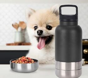 it s winter let s keep your backseat companion safe and warm