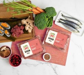 Is Viva Raw the Upgrade Your Pet’s Bowl Has Been Missing?