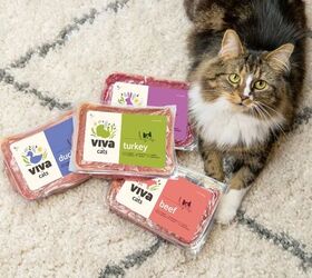 is viva raw the upgrade your pets bowl has been missing, Viva Raw