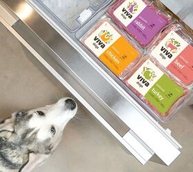 is viva raw the upgrade your pets bowl has been missing, Viva Raw