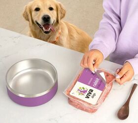 is viva raw the upgrade your pets bowl has been missing, Viva Raw