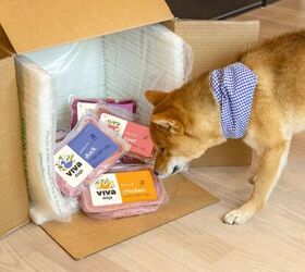 is viva raw the upgrade your pets bowl has been missing, Viva Raw