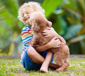 tips for socializing your new puppy, Puppy and child image via Canva