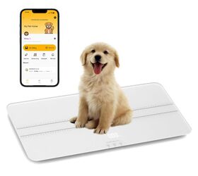 5 checks you can do at home to help keep your dog healthy, unipaws Digital Pet Scale image via Amazon