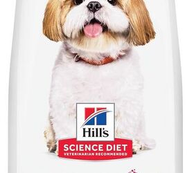 anti aging vaccine for dogs still requires a healthy lifestyle