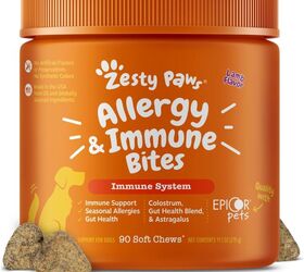 anti aging vaccine for dogs still requires a healthy lifestyle