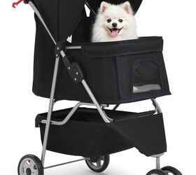 anti aging vaccine for dogs still requires a healthy lifestyle