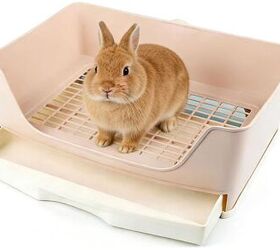 5 tips for house training a rabbit, Rabbit Litter Box image via Amazon