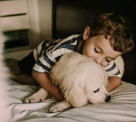 new puppy checklist, Boy cuddling puppy image via Canva