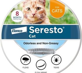 has flea tick season become a year round event