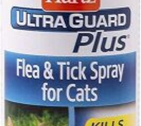 has flea tick season become a year round event
