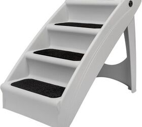 what to expect when you adopt a senior dog