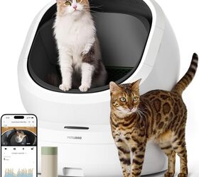 what to look for when shopping for pet insurance