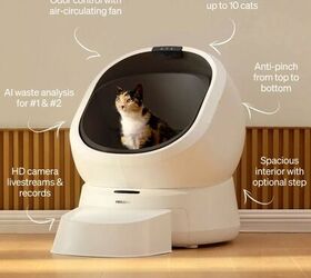 keep an eye on your cats health with the luma smart litter box, Petlibro Luma Smart Litter Box