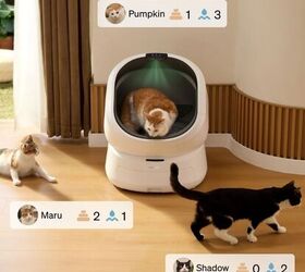 keep an eye on your cats health with the luma smart litter box, Petlibro Luma Smart Litter Box