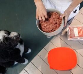the secret to a healthier happier dog it might be in their bowl, We Feed Raw image via brand