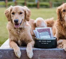 the secret to a healthier happier dog it might be in their bowl, We Feed Raw image via brand