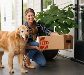 the secret to a healthier happier dog it might be in their bowl, We Feed Raw image via brand