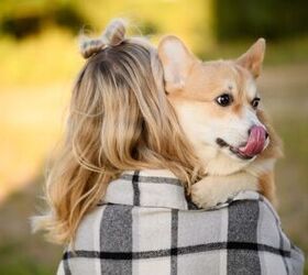 how to recognize displacement behaviors in your dog, Photo credit Yury Nikolaev Shutterstock com