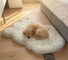 7 beautiful petcore pieces that elevate your home pets comfort, IHAPPYDOG Luxury Faux Fur Orthopedic Dog Bed image via Amazon