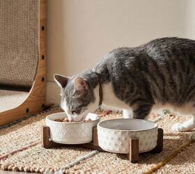 7 beautiful petcore pieces that elevate your home pets comfort, LE TAUCI Pet Bowl Set image via Amazon