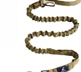 how to take both young and old dogs out for a walk at the same time