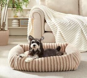 5 chic pet beds to elevate your home, MIXJOY Pet Bed image via Amazon