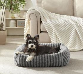 5 chic pet beds to elevate your home, MIXJOY Pet Bed image via Amazon