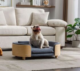 5 chic pet beds to elevate your home, Elevated Pet Bed Sofa image via Amazon