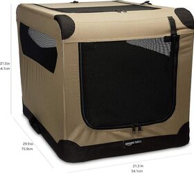 summer travel planned prep for a hotel stay with the family dog