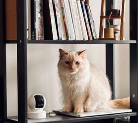 Kasa 1080p Indoor Pan/Tilt Wired Security Camera - image via Amazon