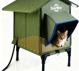 the big social media debate should cats be indoor pets or outdoor