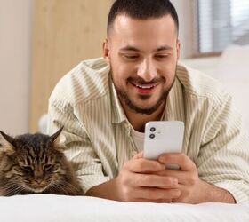 what are the risks of posting your pets on social media, Man using phone next to cat image via Canva