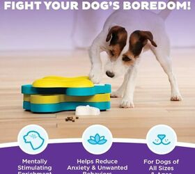 the best toys to keep your dog entertained for hours, Outward Hound Dog Tornado by Nina Ottosson image via Amazon
