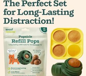 the best toys to keep your dog entertained for hours, WOOF Starter Pack image via Amazon