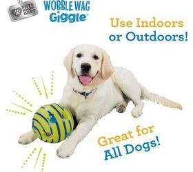 the best toys to keep your dog entertained for hours, Wobble Wag Giggle Ball image via Amazon