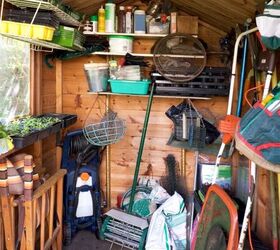 5 items in your shed that are dangerous for pets, Shed image via Canva