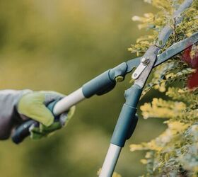 5 items in your shed that are dangerous for pets, Garden shears image via Canva