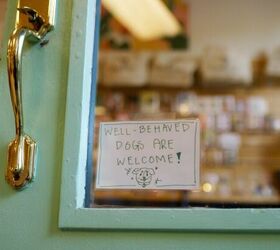 5 tips to make traveling with your dog easier, Dogs welcome sign image via Canva