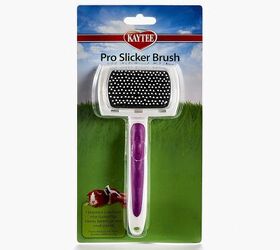 things to consider before getting a rabbit