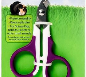 things to consider before getting a rabbit