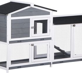 things to consider before getting a rabbit