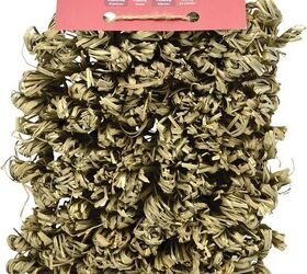 things to consider before getting a rabbit